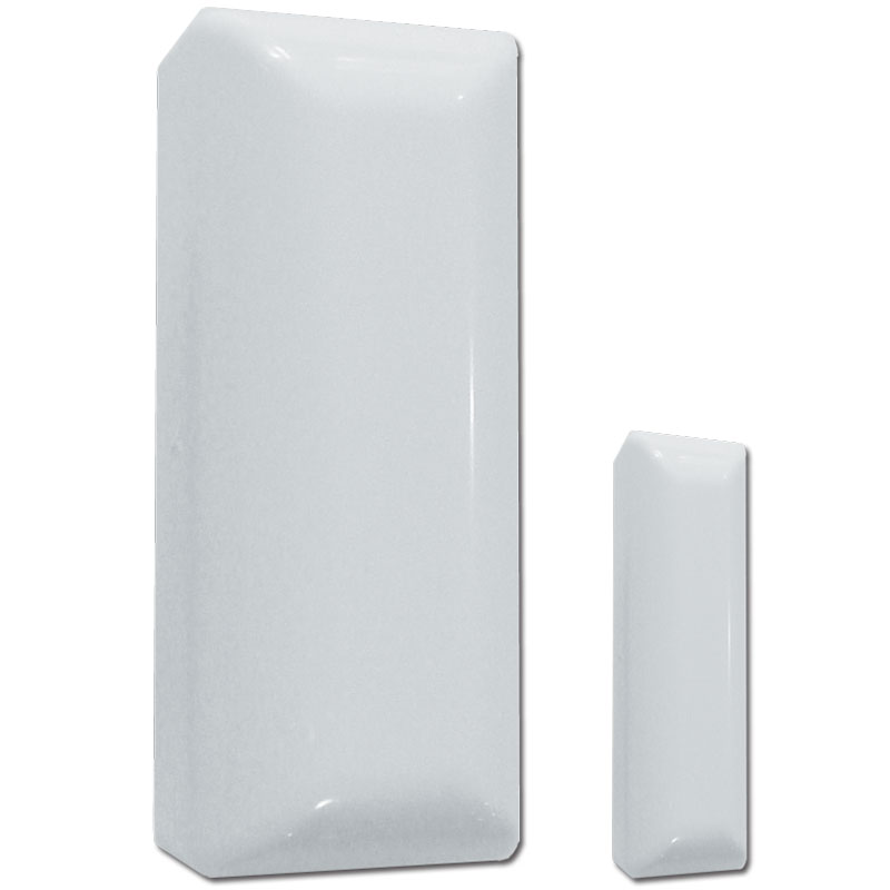 Watchguard Wireless Supervised Reed Switch/Universal Transmitter WREEDI