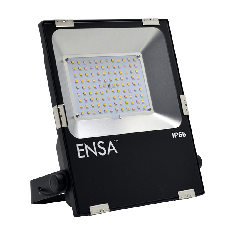 ENSA Professional 50W LED Flood Light (5000K) LFL-B50-C2