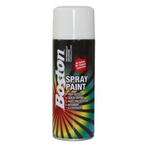 Boston Spray Paint - Matt White 250gm BOSBT52