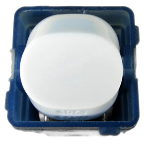 ransco Double Pole Switch 10a Wafer SMDW