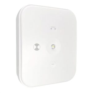 TRADESAVE LED Surface Mount Emergency Downlight 3W 240V (1/each)