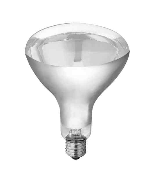 CLA
Heat Lamp Globes