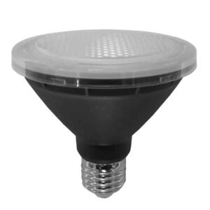 CLA PAR30 LED Globe (10W)