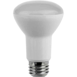 CLA R63 & R80 LED Globes