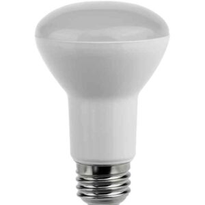 CLA R63 & R80 LED Globes