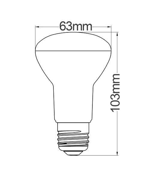 CLA R63 & R80 LED Globes - Image 2
