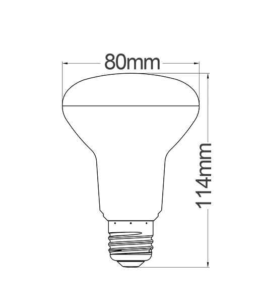 CLA R63 & R80 LED Globes - Image 3