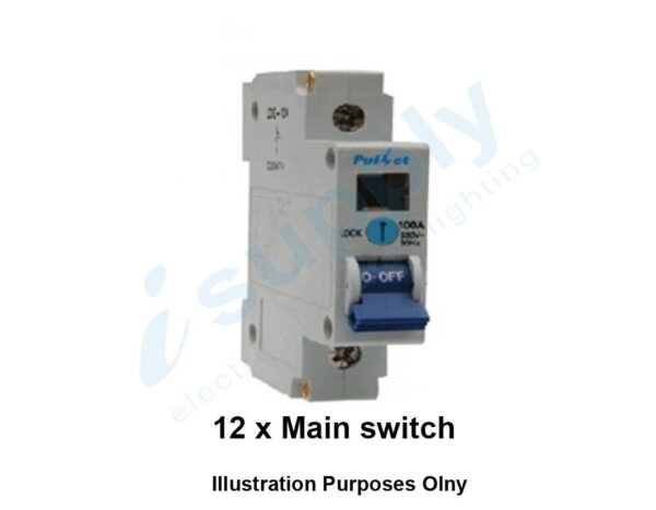 12 x 1 Pole Main Switch 100 Amp 100a MCB