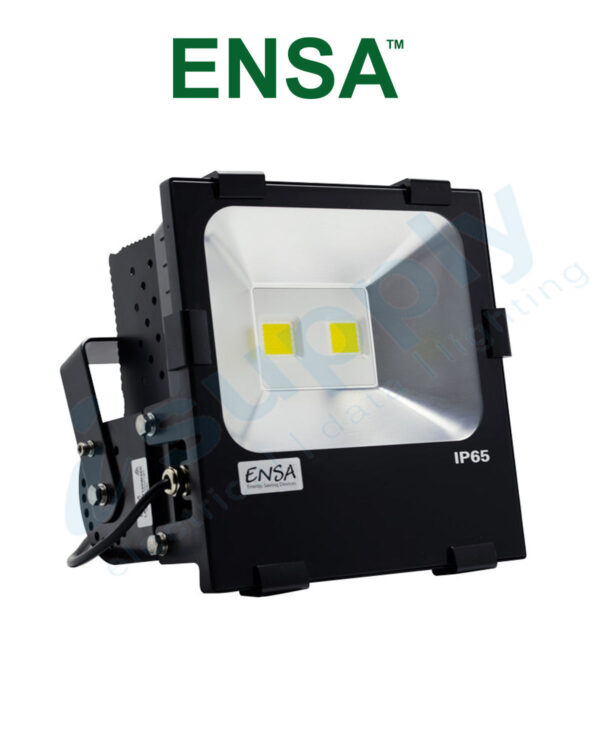 ENSA Professional 100W 5500K LED Flood Light LEDFLP100W55K